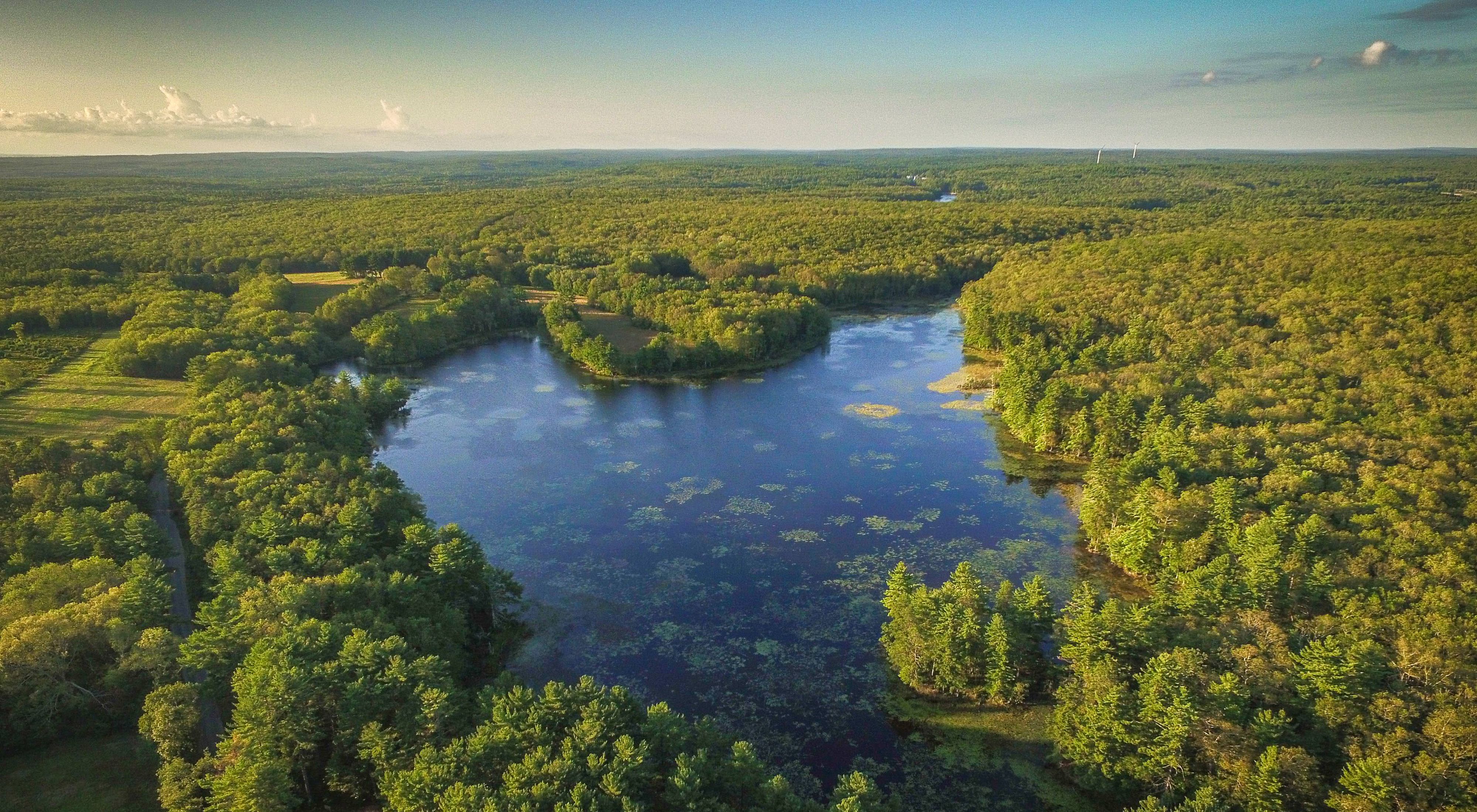 Aerial view of a heart-shaped pond, surrounded by green forest out to the horizon.