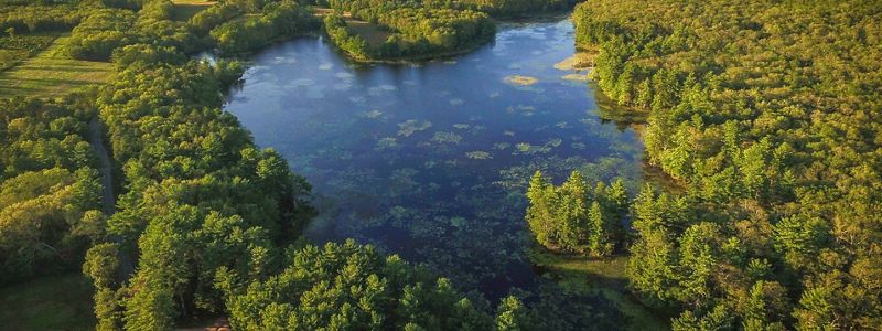 Aerial view of pond and woodlands.