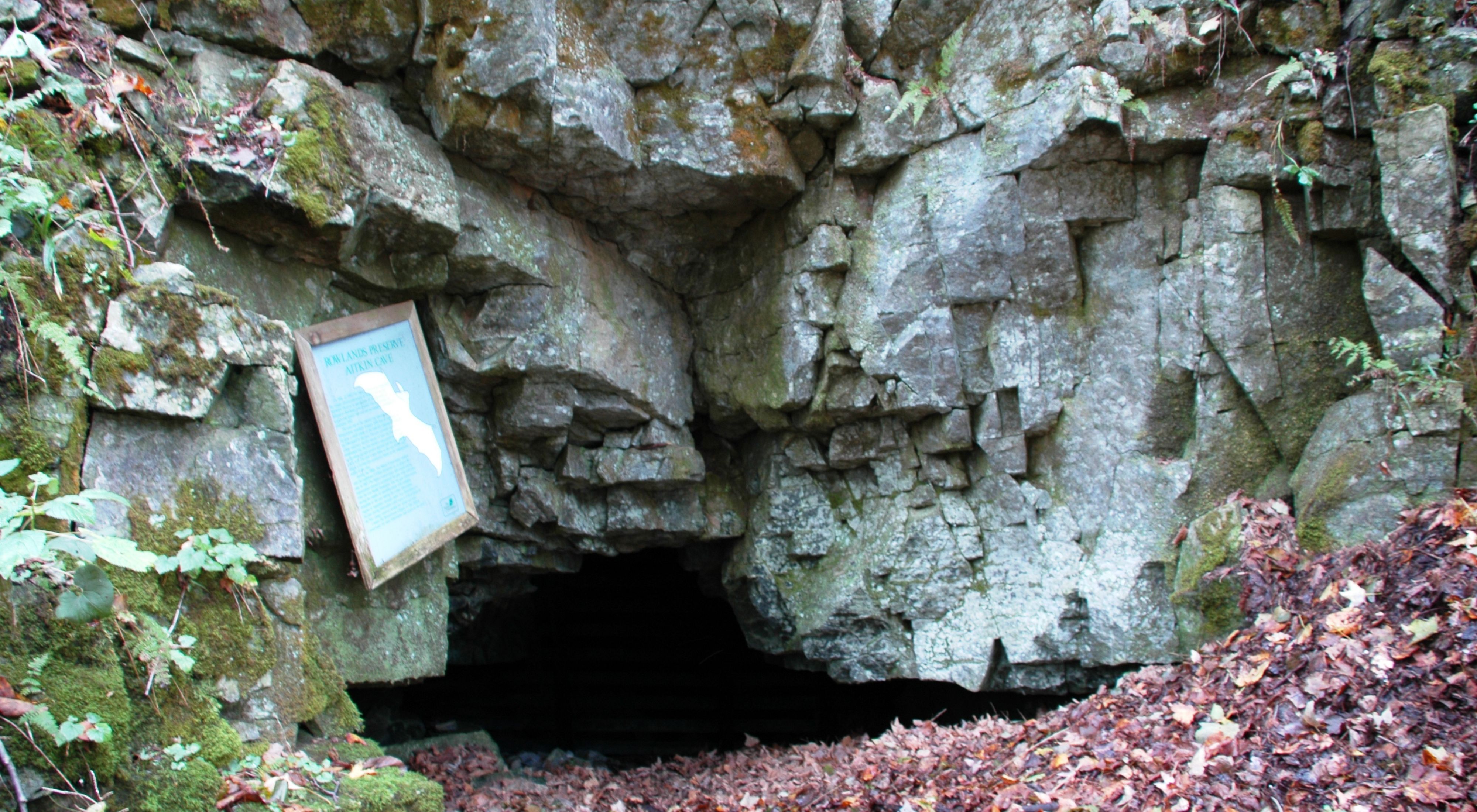 Heavy gray stone looms over the squared off entrance to a cave. A sign next to the cave entrance provides information about the bats who make a home inside.