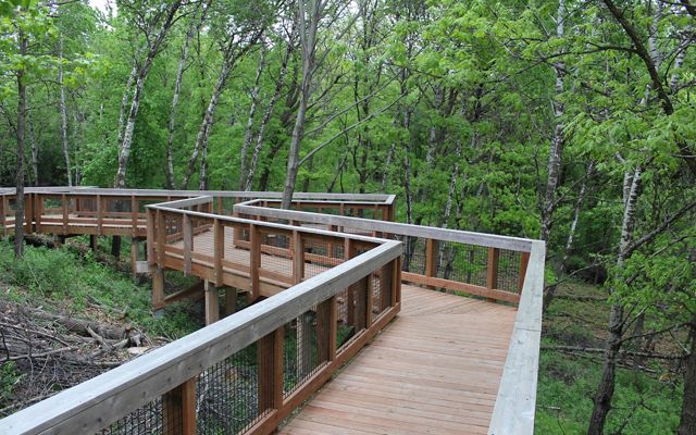 Boardwalk at Richardson Nature Center.