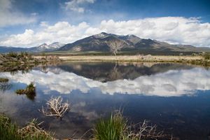 Mountains reflected in Rio Grande River in New Mexico. 