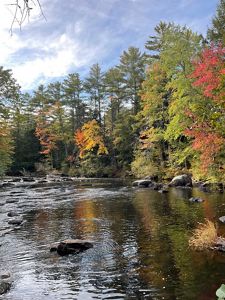 View of moving water with green, red and yellow changing trees in the background.