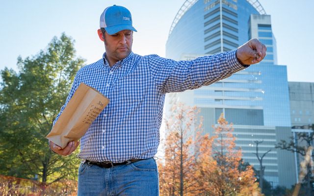 A man in a baseball cap holds a seed bag, sprinkling seed on grass against a backdrop of tall city buildings.