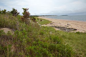 Overlooking a sand dune on Plum Island with ocean shore on the right side.