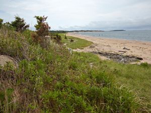 Overlooking a sand dune on Plum Island with ocean shore on the right side.