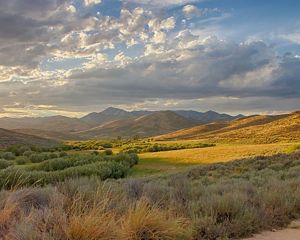 Landscape view looking across flat land covered with golden grasses and sagebrush, with mountains in the distance.