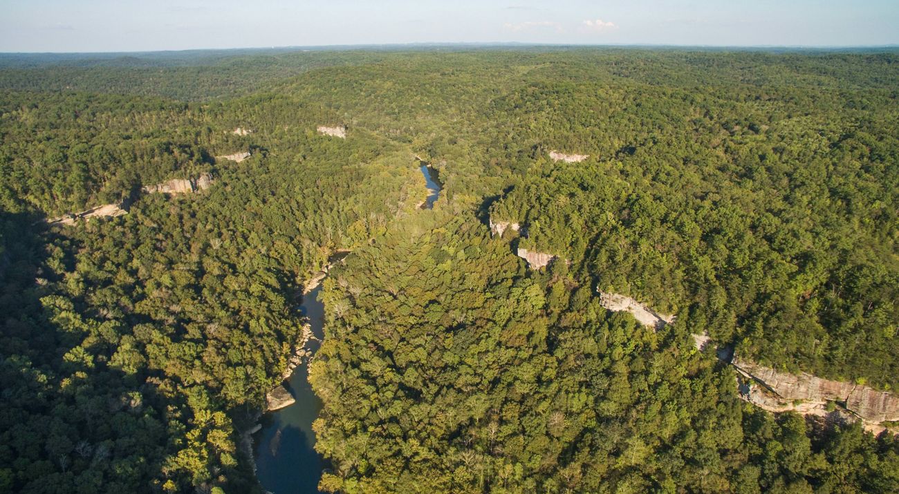 Image of the Rockcastle River surrounded by forestland.