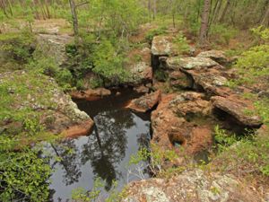 Rocky Creek with still water reflecting trees above.