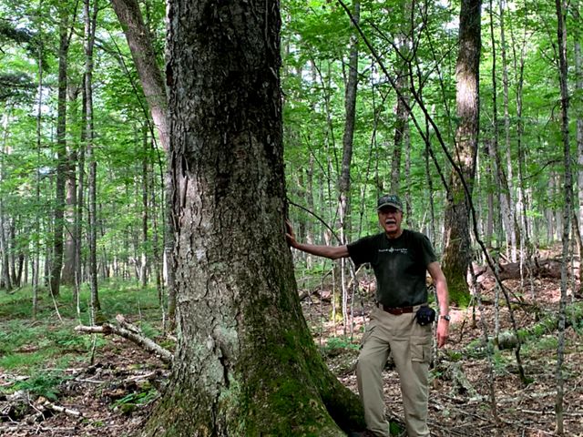 A man with a silver mustache and a TNC ballcap on leans one hand against a thick tree with a mossy trunk. A leafy green forest of trees spreads out behind him.