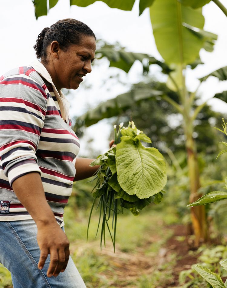 A woman holds cocoa leaves in her hand while smiling