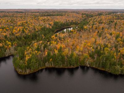 Los ríos y bosques aislados de la Reserva de Lagos Wilderness ofrecen uno de los hábitats más ricos de Michigan.