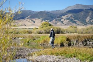 Angler fishing the blue-ribbon trout waters of the Ruby River 