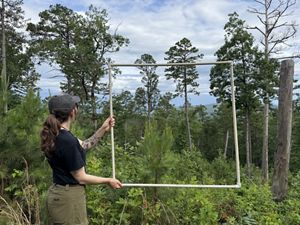 Women staring out at toward Arkansas forest.