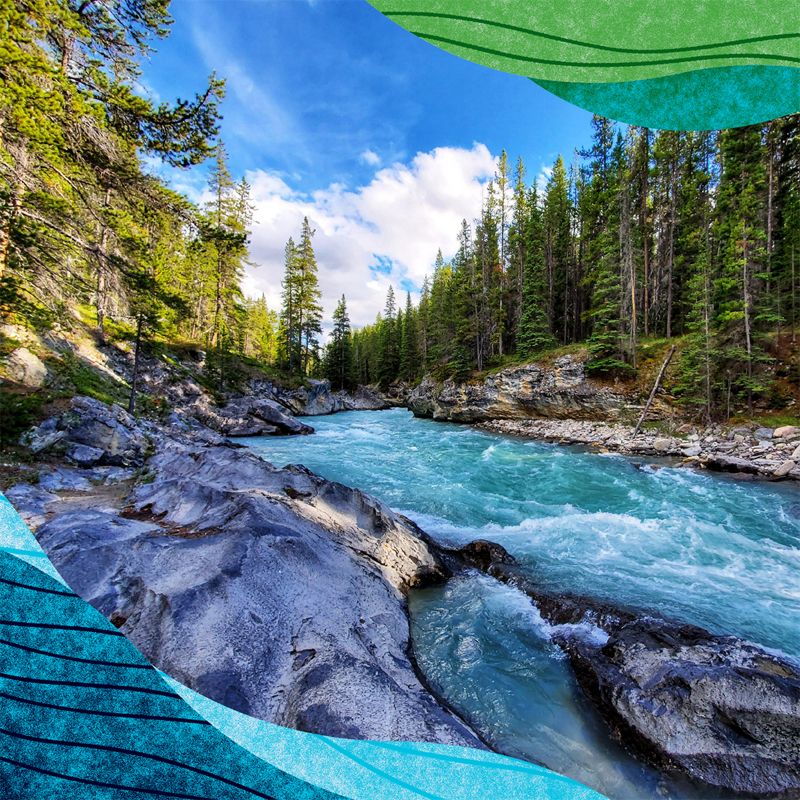 A fast flowing river rushes between rocky banks lined with tall conifer trees.