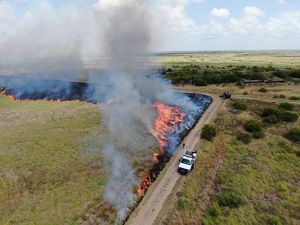 A fire truck sits on a road beside a burning field.