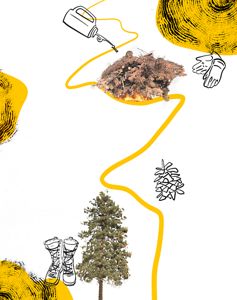 A close up of a fire torch in a forest.