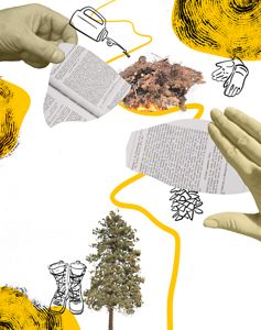 A group of firefighters walking through a forest.