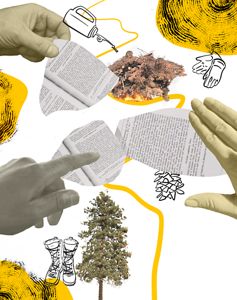 An aerial image of a forest, half burned, half healthy.