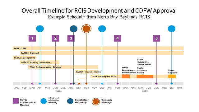 Graphic outline of key steps and deliverables in developing an RCIS