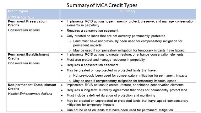 Table displaying a summary of three types of MCA credits.