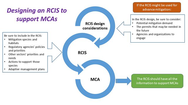 Highlights the relationship between an RCIS and what is required to support an MCA