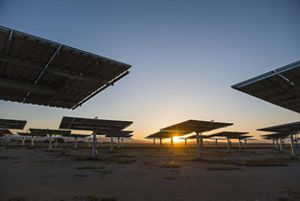 A collection of solar panels are installed in the ground with sunset in the distance.