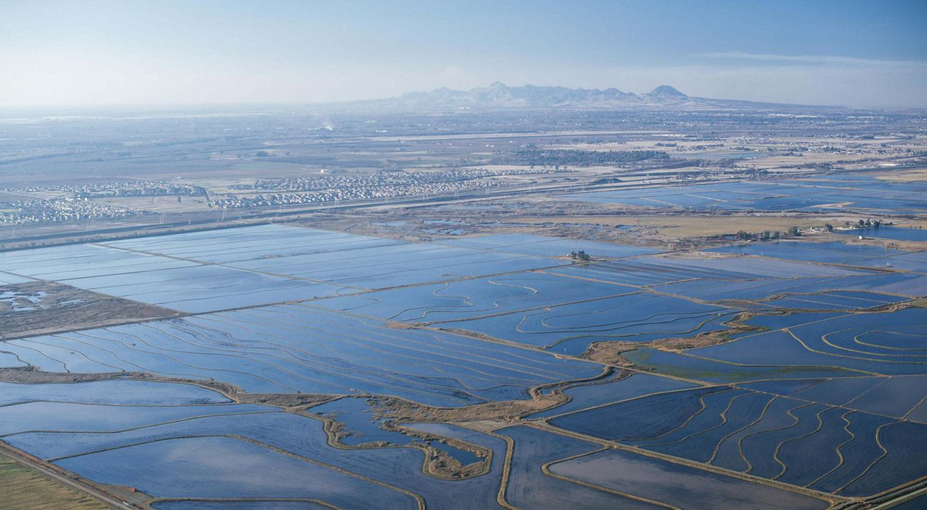 Aerial view of flooded rice fields in central California.