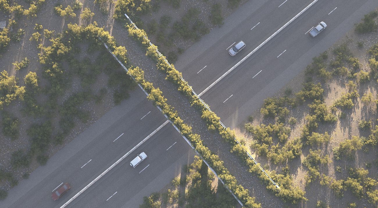 Overhead view of a plant-lined bridge that crosses over a road as cars drive below.