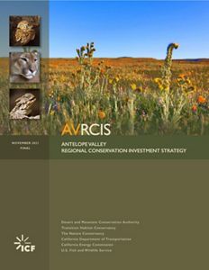 Antelope Valley RCIS Strategy Document 