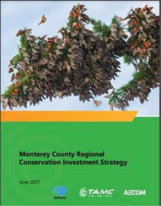 Monterey County RCIS Strategy document