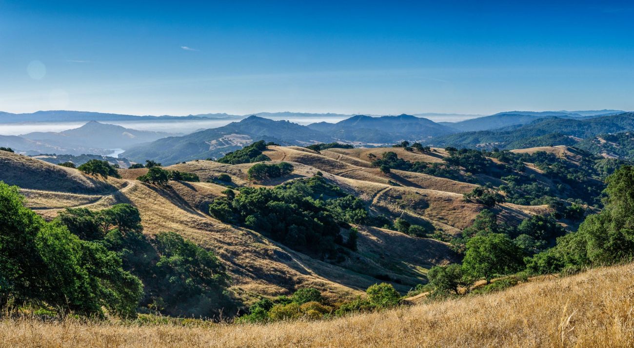 Rolling countryside with hills covered in open meadows and forest.