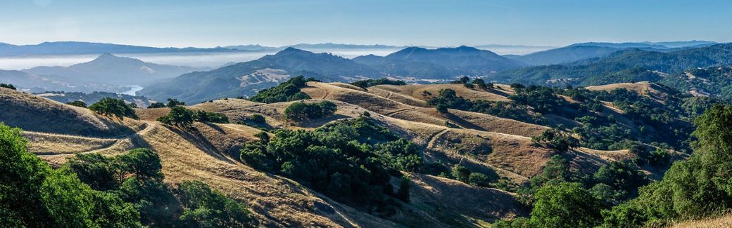 Rolling countryside with hills covered in open meadows and forest.