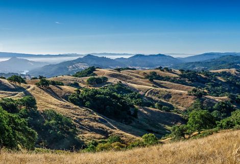 Rolling countryside with hills covered in open meadows and forest.