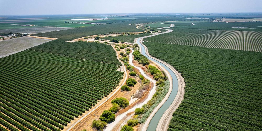 Aerial view of an irrigation canal winding between green fields containing rows of agricultural crops in a vast expanse of flat landscape.