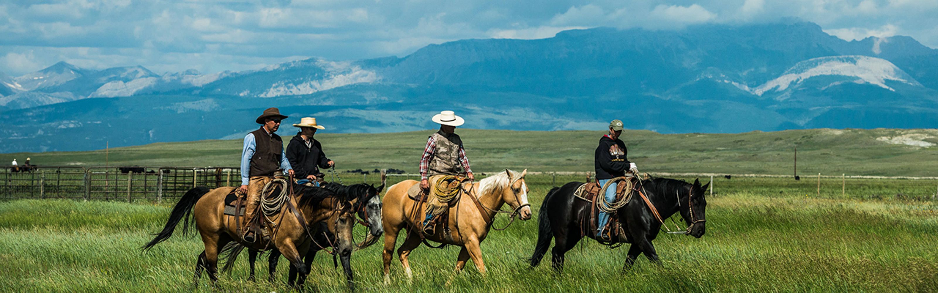 Four people ride on horseback in the foreground; a wide expanse of rangeland is in the middle ground, and a rugged mountain range is in the distance.