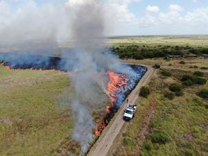 Fire practioners from the Texas Chapter conduct a prescribed burn on coastal prairie at Mad Island Marsh Preserve.