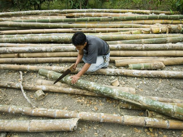 A local carpenter builds a ecotourism lodge, part of a development project which uses native bamboo rather then tropical hardwoods in the forests of Manab' Province, Ecuador. 