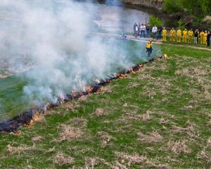 Aerial view of a group watching a prescribed burn on a grassland.
