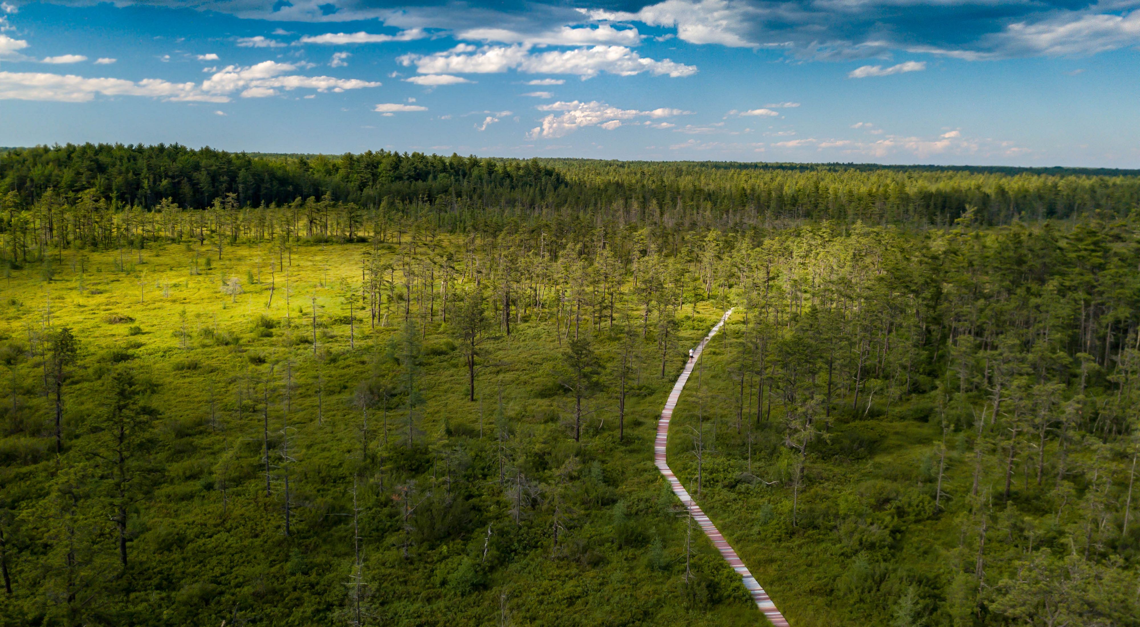 Aerial view of a long wooden boardwalk extending through forests and scrubby heath.