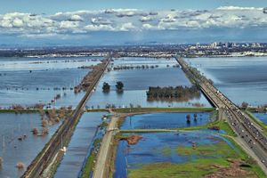 image of wetlands separated by roads