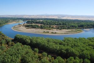 An aerial view of the Sacramento river in Tehama County with trees along each side. 