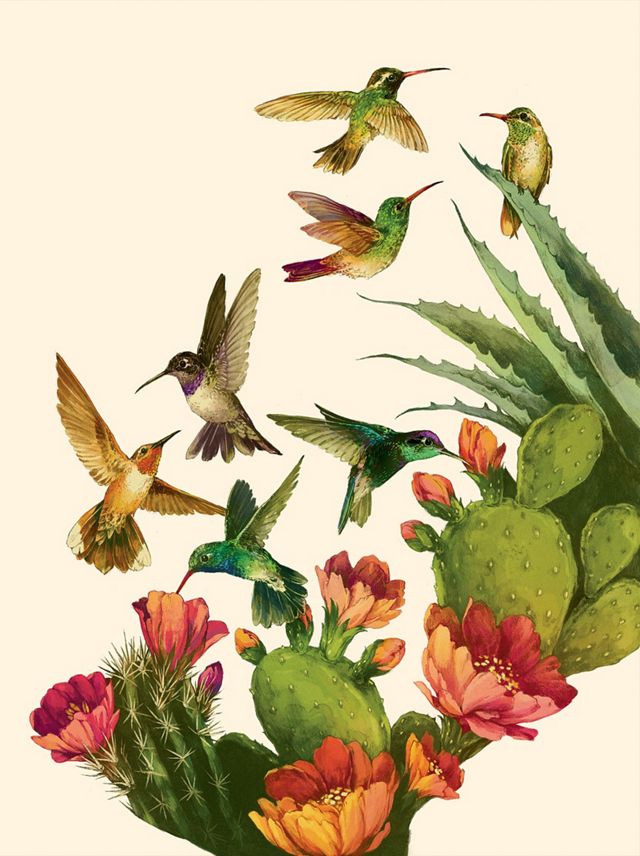 an illustration of birds in summer
