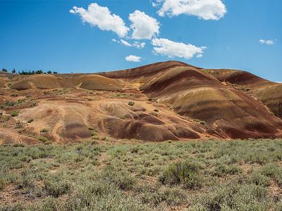 Orange, brown and black-striped hills under blue sky with green sagebrush in the foreground.