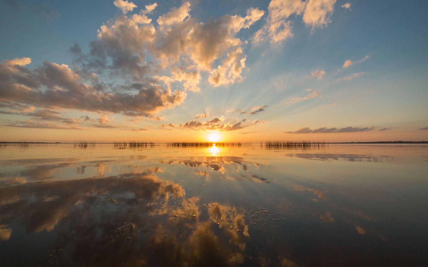 
                
                  Sunset on the Saginaw Bay Saginaw Bay is one of the world's largest contiguous coastal wetland systems, supporting a robust wildlife fishery, habitat for migratory birds, and water-based recreation.
                  © Fauna Creative
                
              