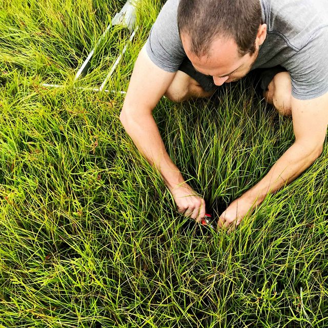 Dr. Troy Hill, a research partner from Florida International University, prepares a sample from North Greensedge Marsh.
