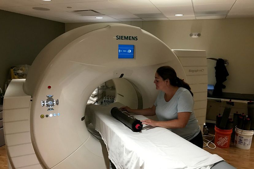 Scientist Nicole Maher places a salt marsh sample in a cat scan machine.