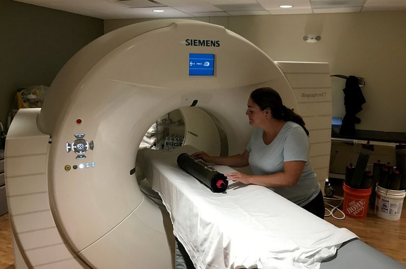 Nicole Maher places a core on a white sheet on the platform of a CT scanner, which looks like a large, beige donut standing on its side.