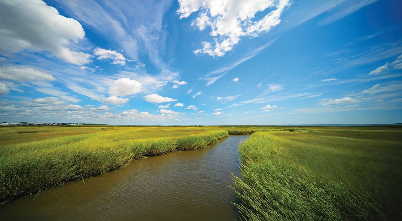 Aerial view of a green salt marsh surrounded by the ocean.