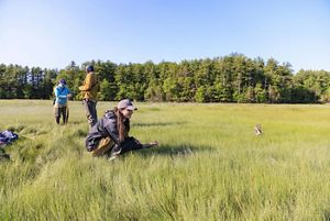 A person kneeling in a grassy field releases a bird into the air. 