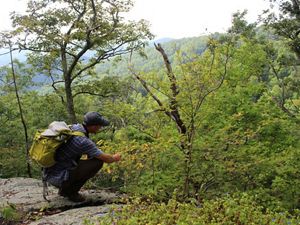 TNC Land Steward Sam Truslow hikes Virginia's Fortune’s Cove Preserve.